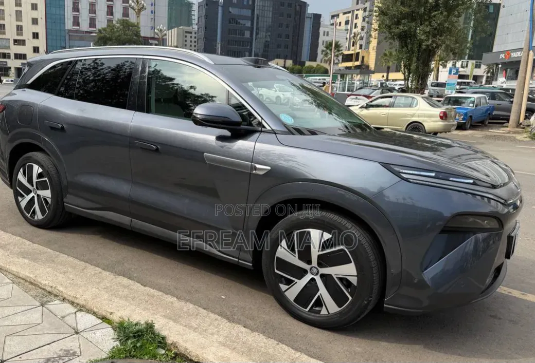 BYD Tang EV 2025