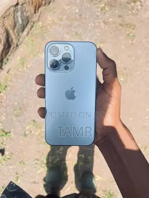New Apple iPhone 13 Pro Max 256 GB Silver