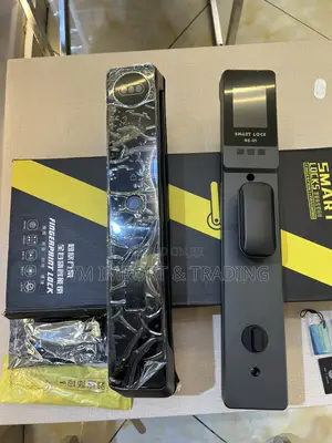 Luxury and Smart Door Locks