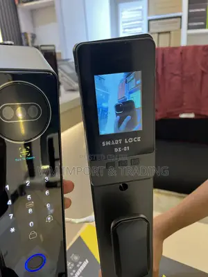 Luxury and Smart Door Locks