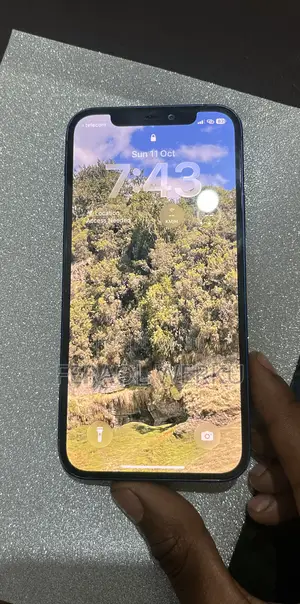 Apple iPhone 12 128 GB Blue