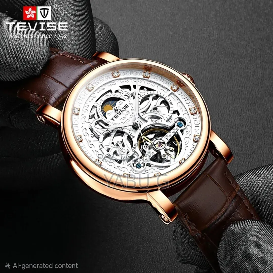 Tevise Luxury Men's Mechanical Watches - Waterproof