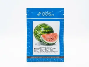 Watermelon Seed