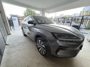 BYD Song Plus 2024 Gray