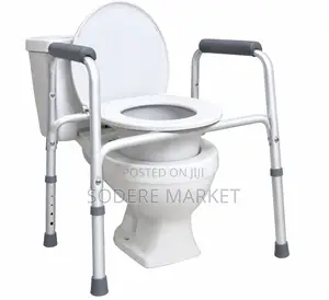 Raised Toilet Seat With Adjustable Safety Frame