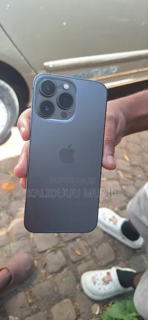 Apple iPhone 13 Pro 256 GB Silver