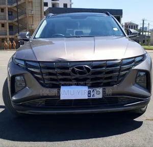 Hyundai Tucson 2022 Brown
