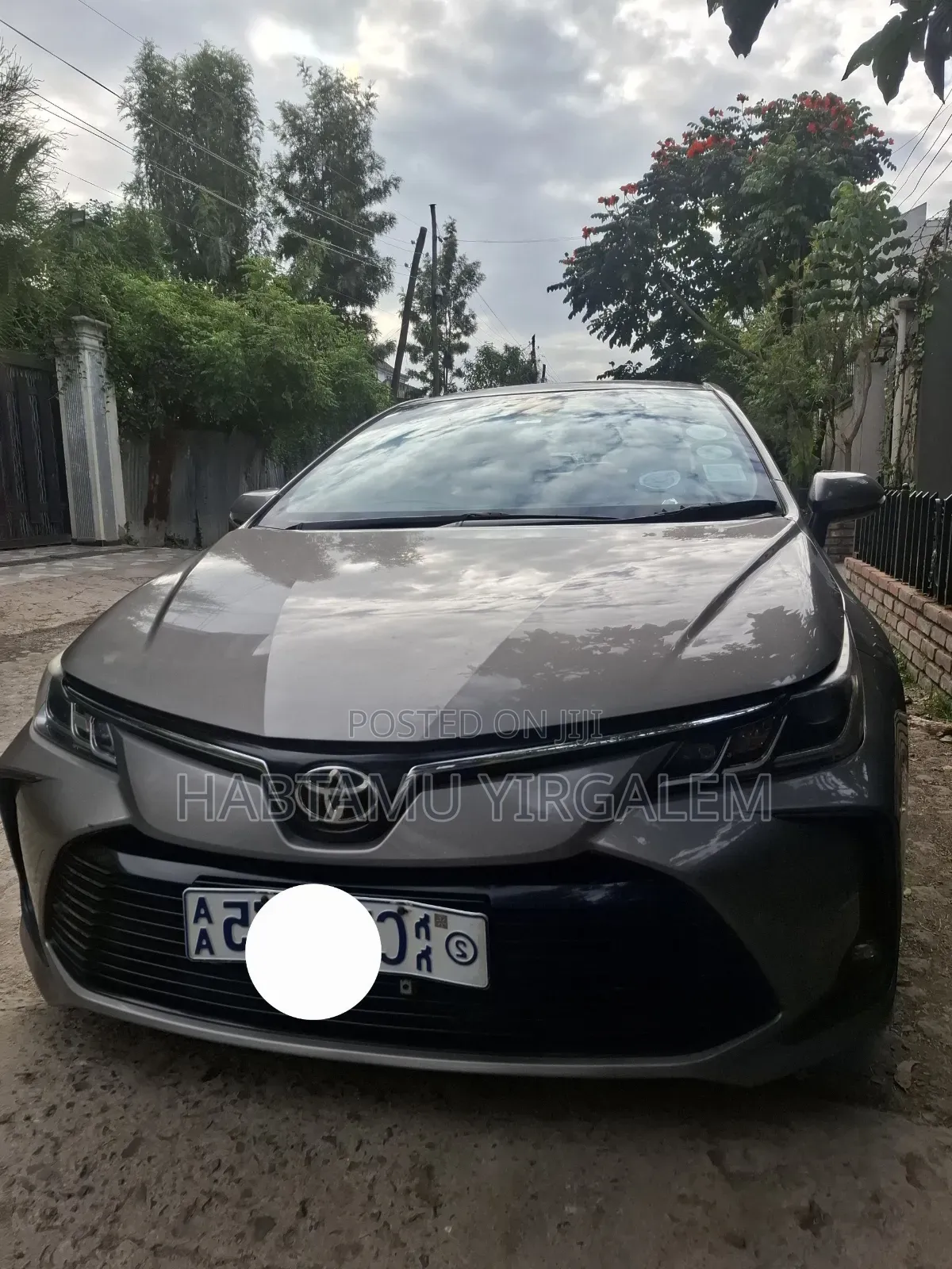 Toyota Corolla 2022 Brown