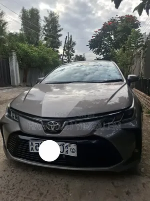 Toyota Corolla 2022 Brown