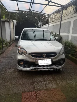 Suzuki Celerio 2022 Silver