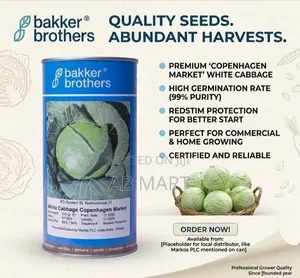 Cabbage Seed