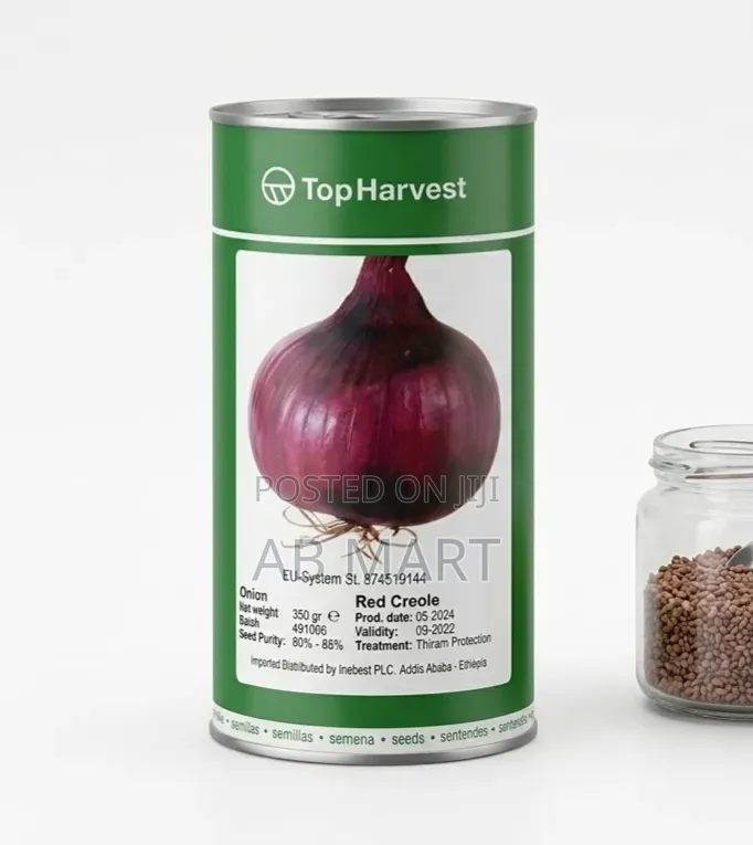 Onion Seed