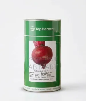 Beetroot ቀይ ሥር Seed