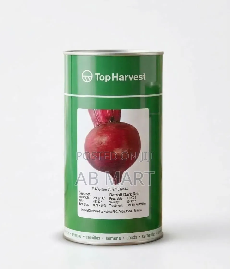 Beetroot ቀይ ሥር Seed