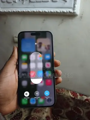 Apple iPhone 15 Pro Max 256 GB Silver
