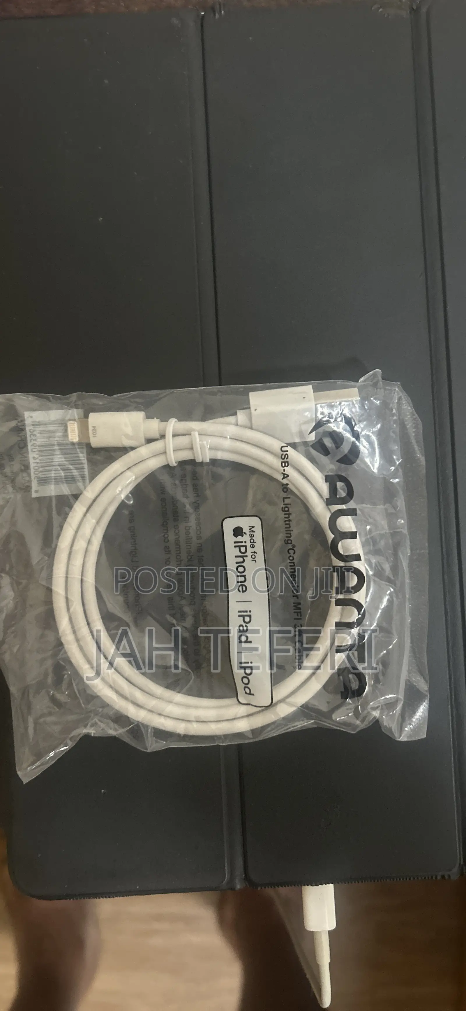 iPhone iPad Charger