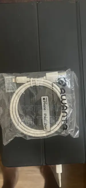 iPhone iPad Charger