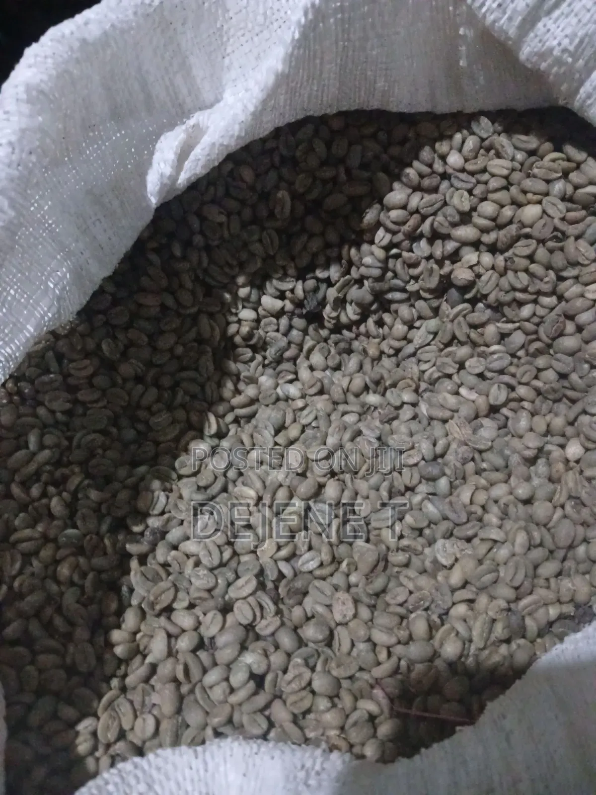 ጥሬ ቡና ለሽያጭ | Jimma & Keffa Green Coffee Beans