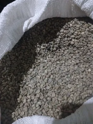 ጥሬ ቡና ለሽያጭ | Jimma & Keffa Green Coffee Beans