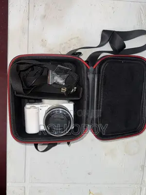 Sony Zv-E10 Mirror Less Urgent
