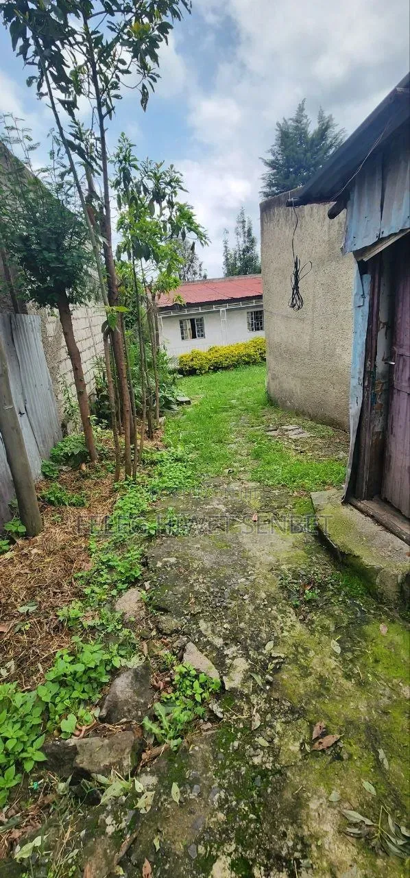 የሚሸጥ ስምማዞሪያ ያለዉ ቦታ