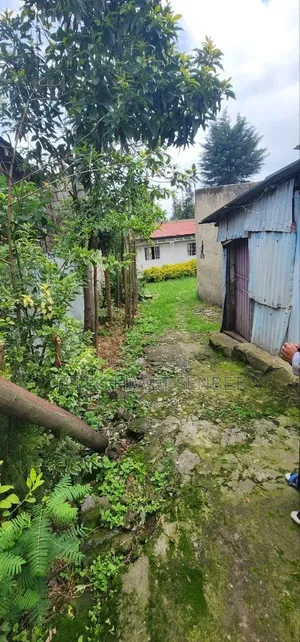 የሚሸጥ ስምማዞሪያ ያለዉ ቦታ