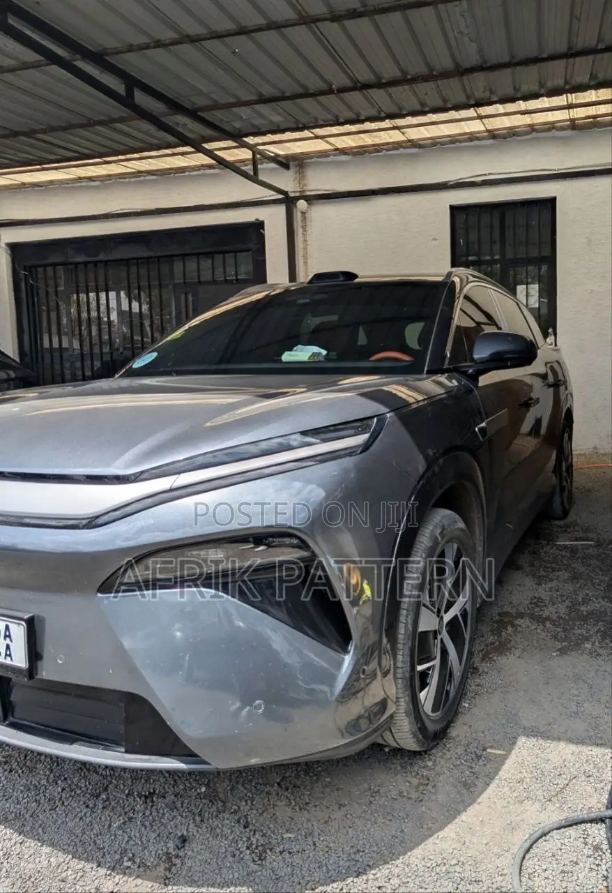 BYD Tang EV 2025 Gray