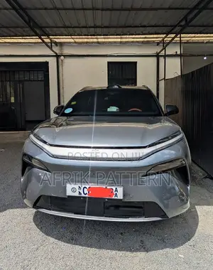 BYD Tang EV 2025 Gray