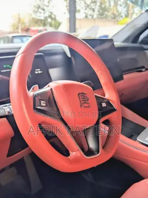 BYD Tang EV 2025 Gray