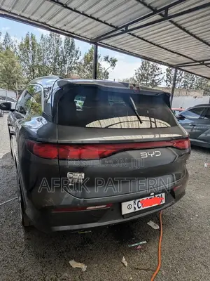 BYD Tang EV 2025 Gray