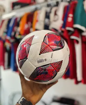Molten Soccer Ball