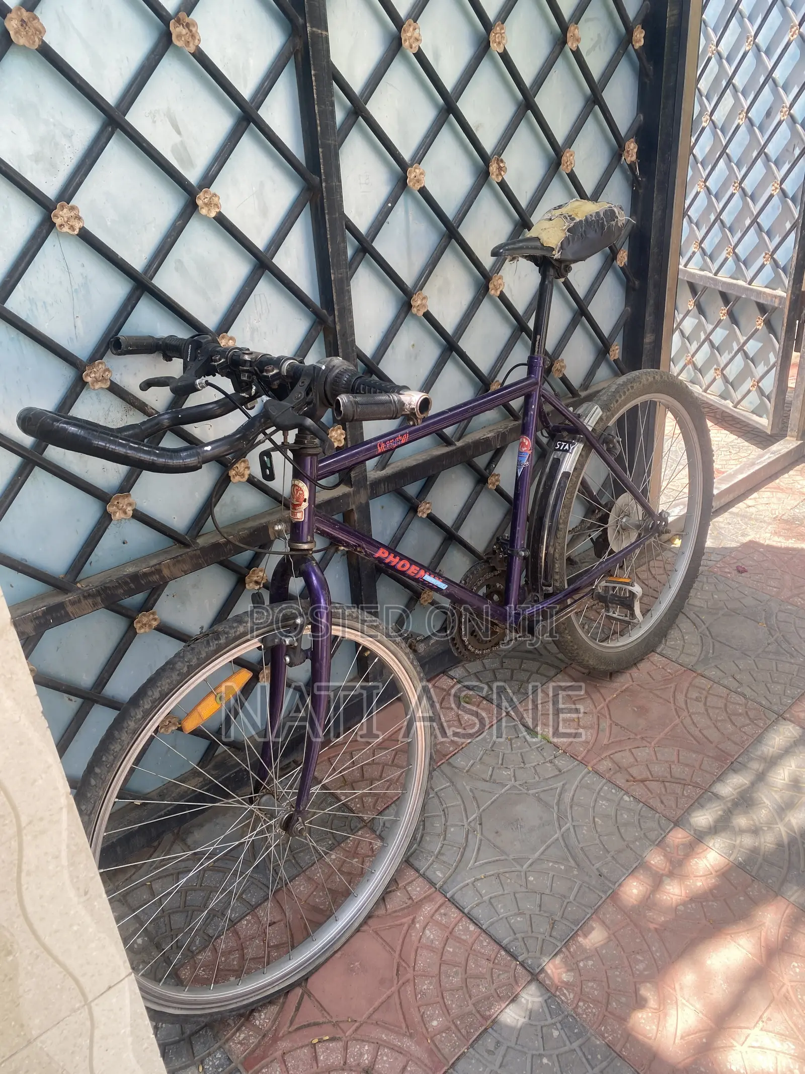 Phoenix Bicycle