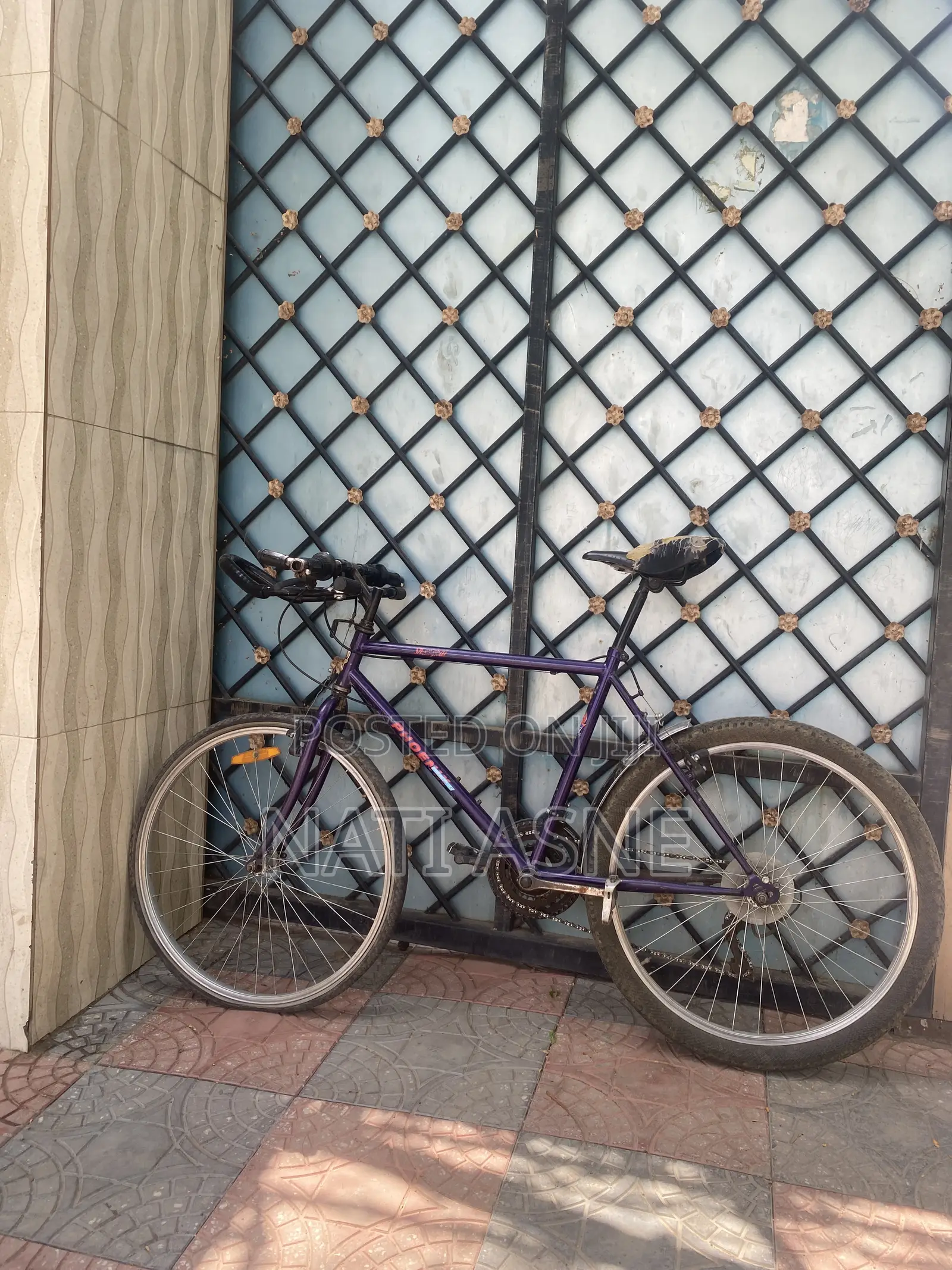 Phoenix Bicycle