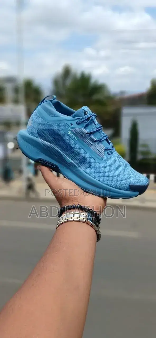 Nike Gortx Shos