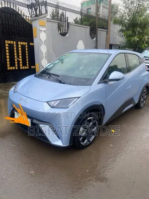BYD Seagull 2024