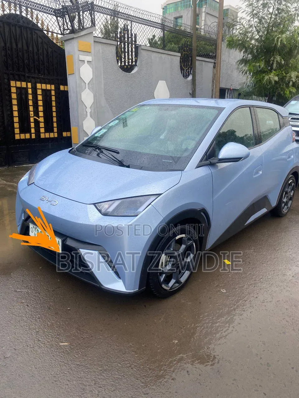 BYD Seagull 2024