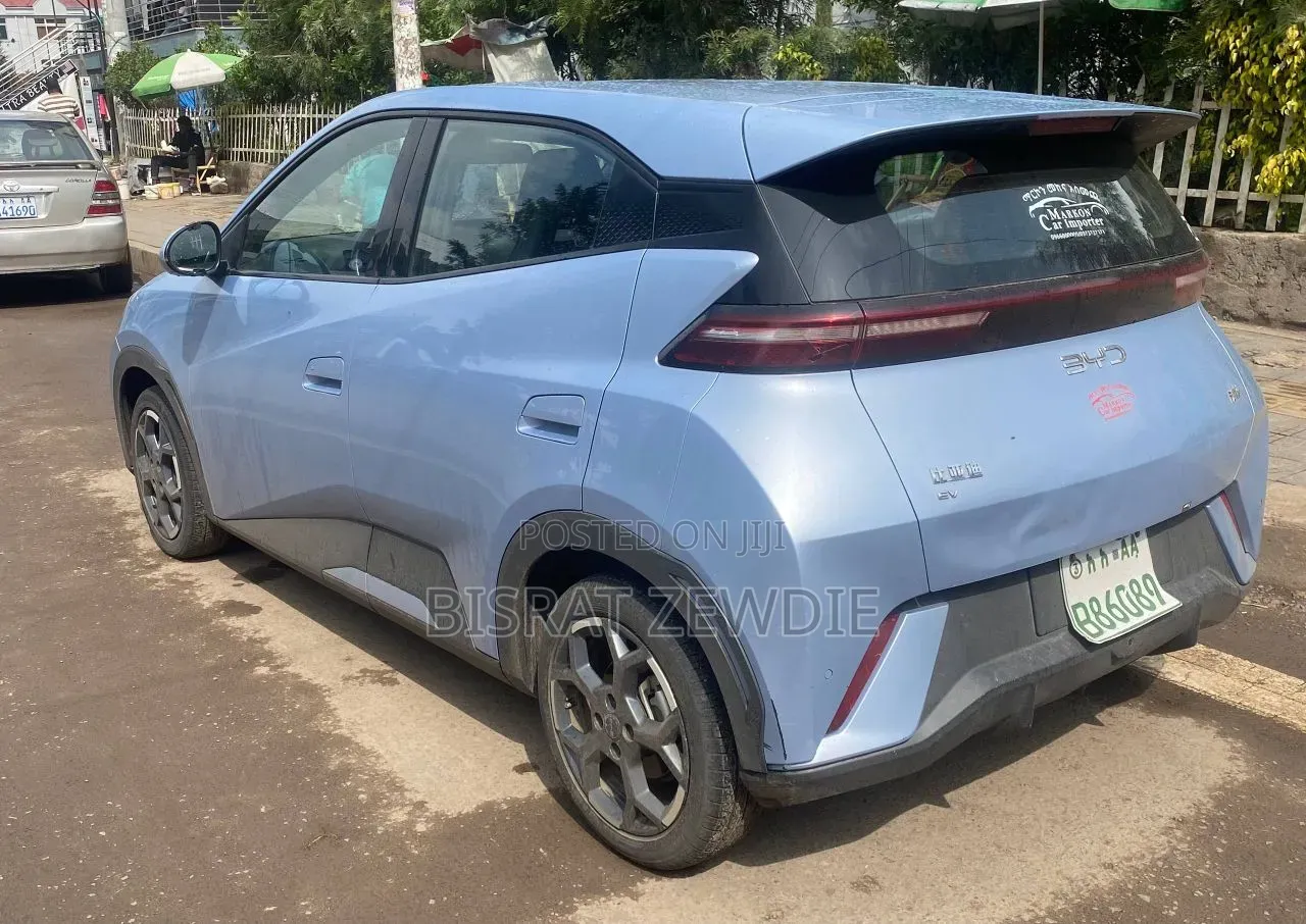 BYD Seagull 2024