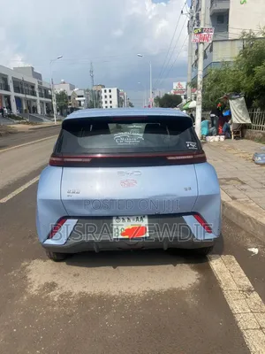 BYD Seagull 2024