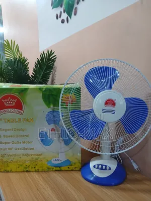 CHANG LI CROWN 16" DESK & TABLE FAN – Stay Cool, Stay Comfortable