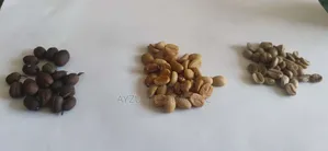 Coffee Sample Hulling Machine