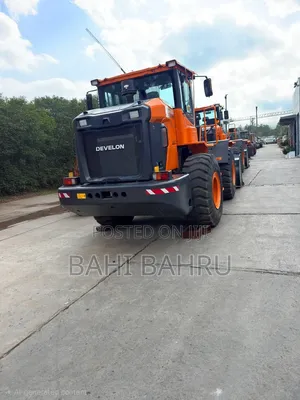 Develon Loader for Sale