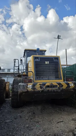 2015 Loader for Sale