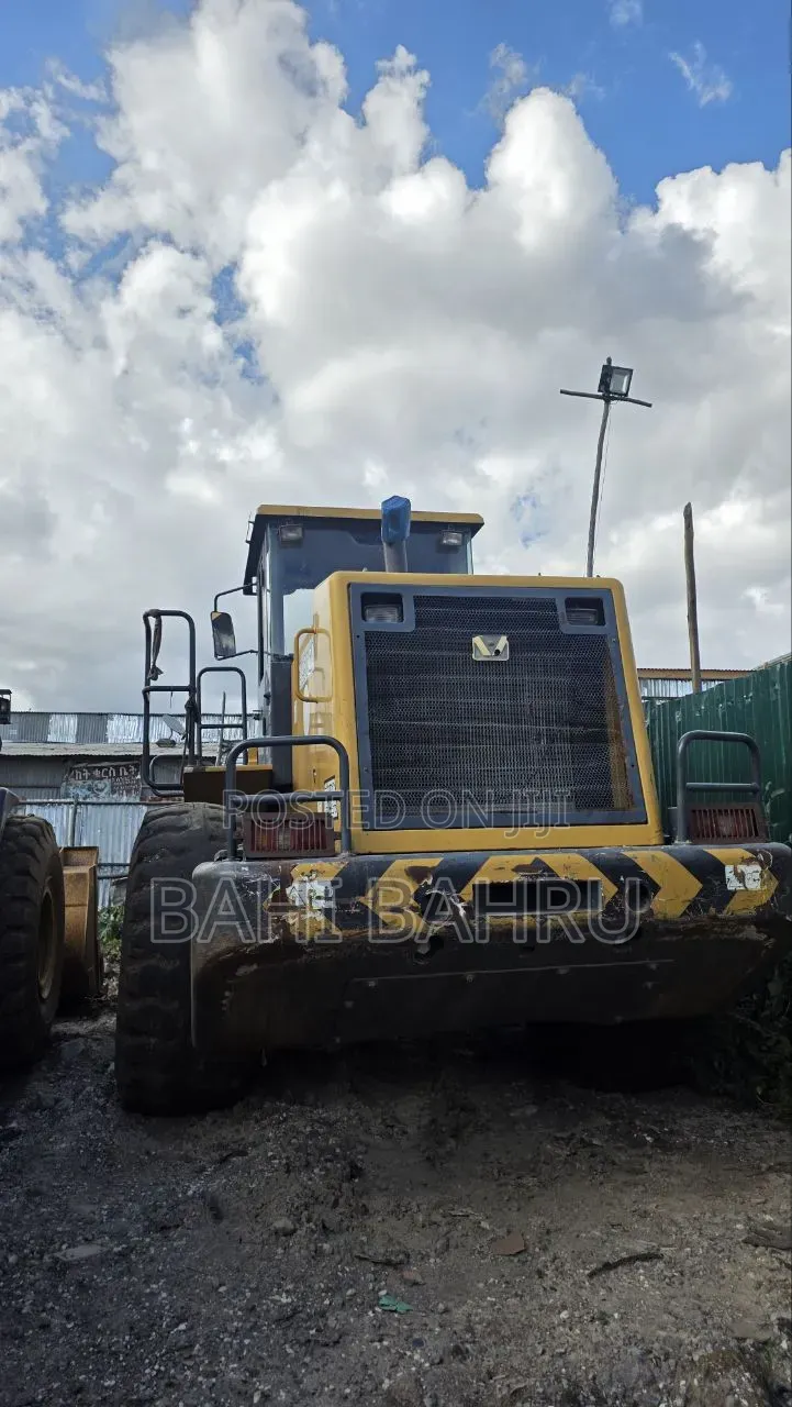 2015 Loader for Sale