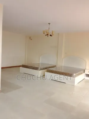 Furnished 16bdrm Apartment in Bole for rent
