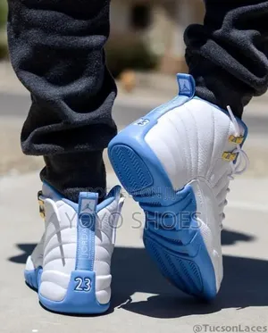 AIR Jordan 12 Retro "Melo" University Blue,Metallic Silver Unisex Shoe