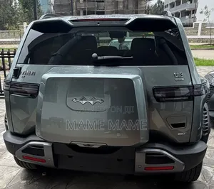 New BYD Leopard 3 2025 Gray