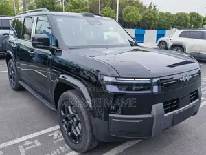 New BYD Leopard 7 2026 Black
