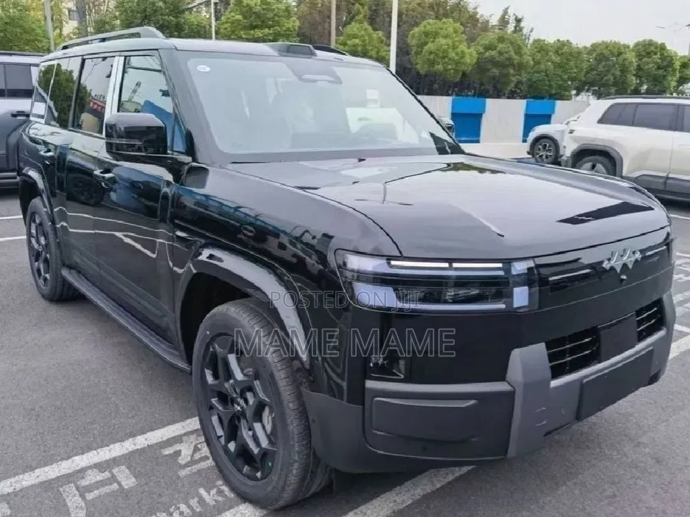 New BYD Leopard 7 2026 Black