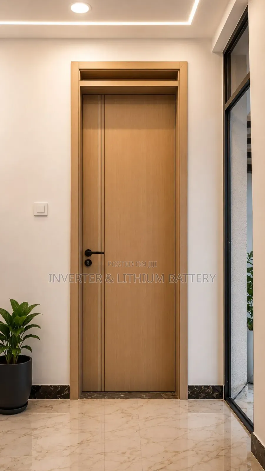 Luxury Carbon Fiber Doors