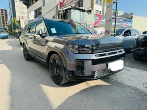 New Hyundai Santa Fe 2024 Gray